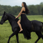 embodiment horse