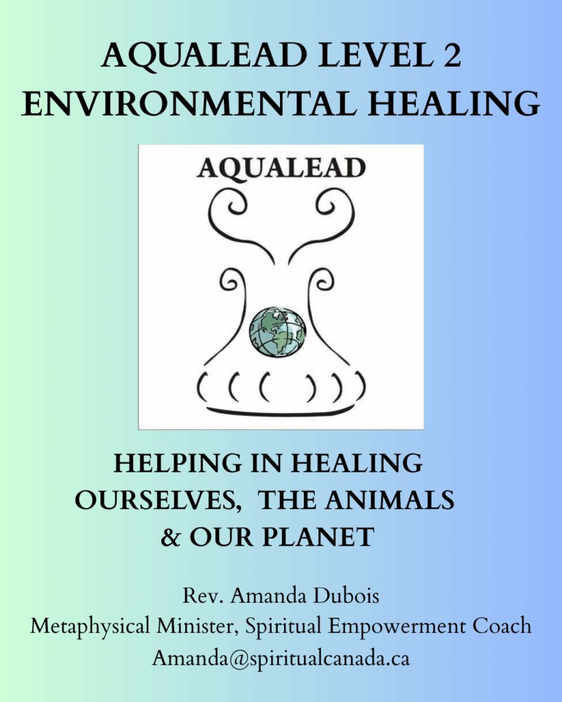 Aqualead Level 2 HELPING IN HEALING OURSELVES THE ANIMALS OUR PLANET 1
