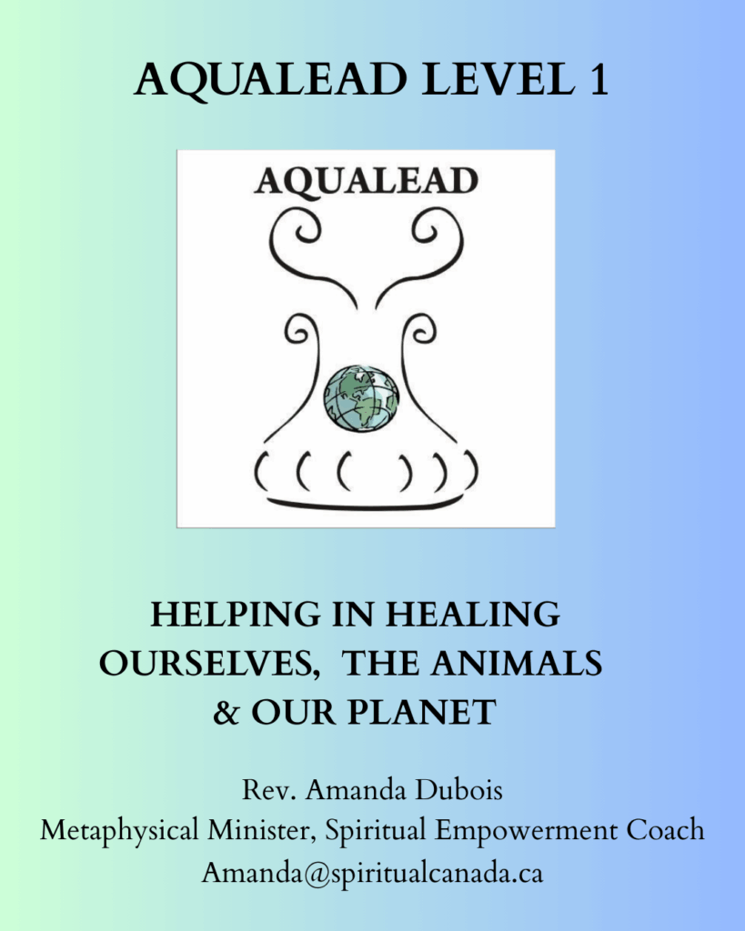 HELPING IN HEALING OURSELVES THE ANIMALS OUR PLANET